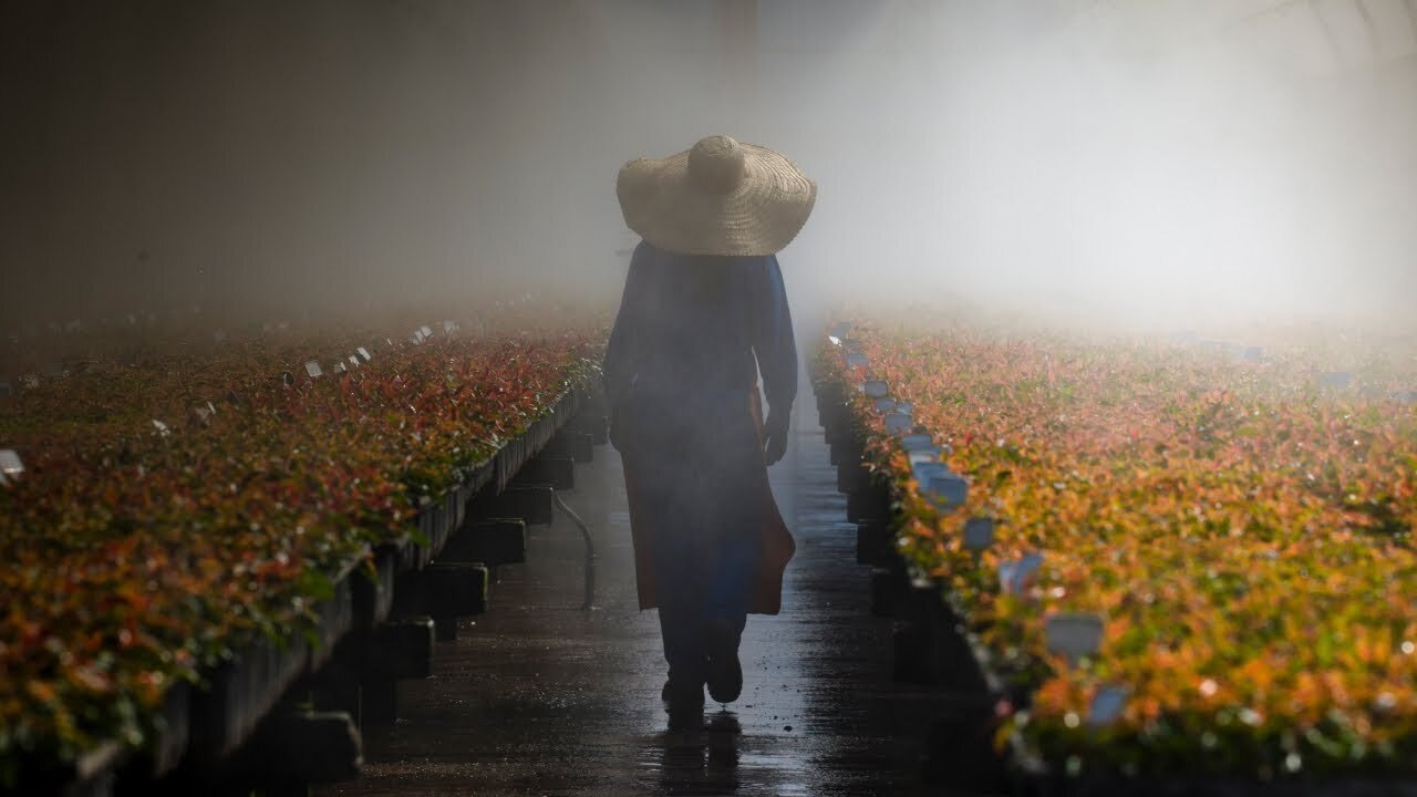 Customer Video: Singapore, Malaysia, Thailand & Indonesia