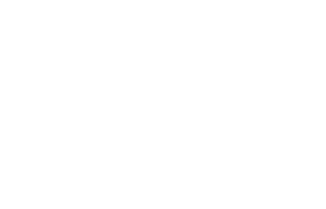 Gartner white logo
