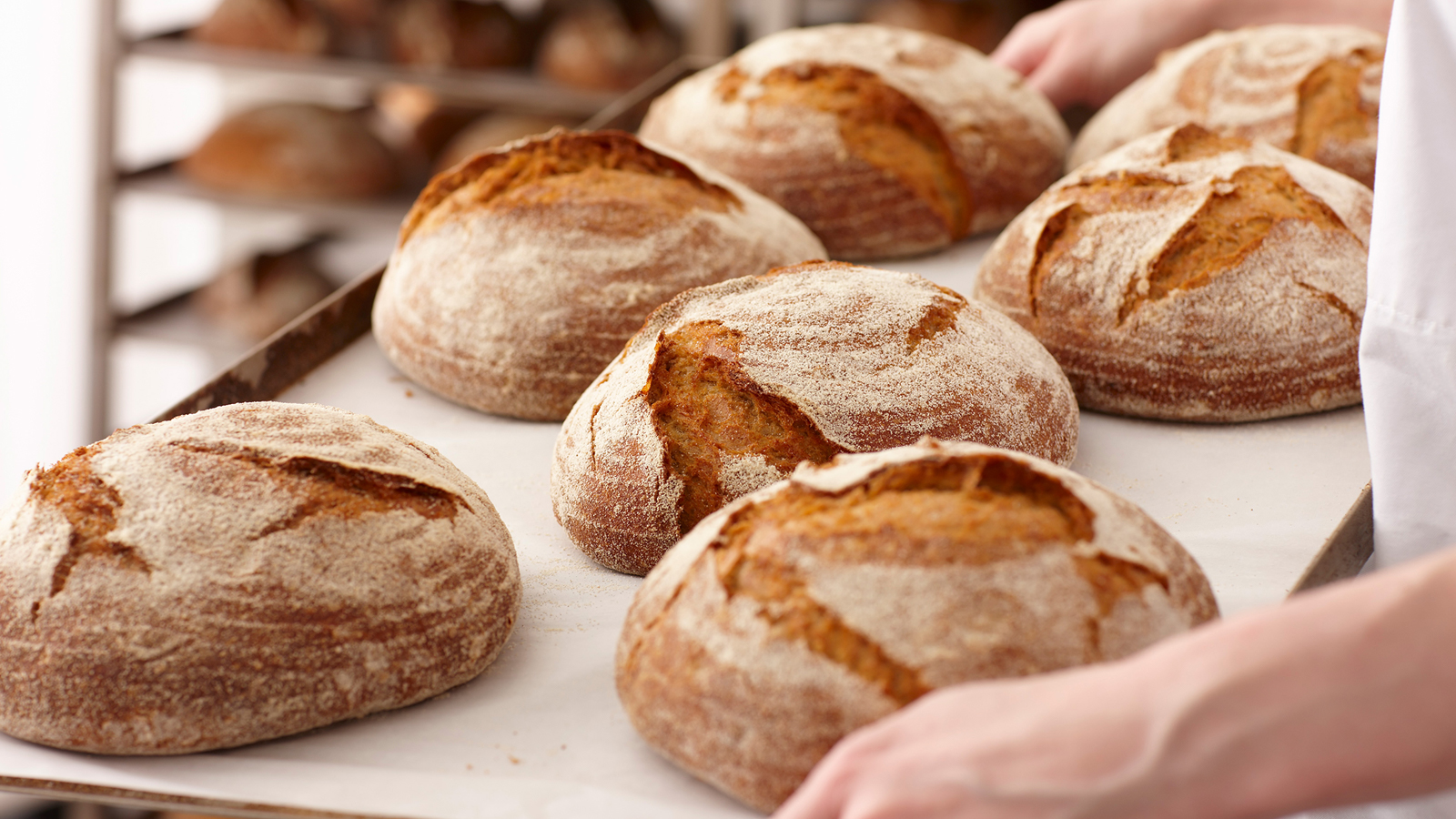 Panera Bread's new design transforms it into a neighborhood bakery